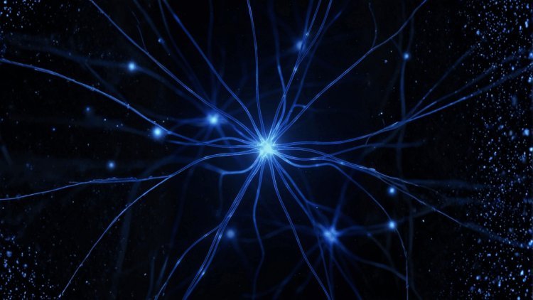 The AI Citation Era: How to Rank Your Brand in ChatGPT, Gemini, Copilot, and Perplexity